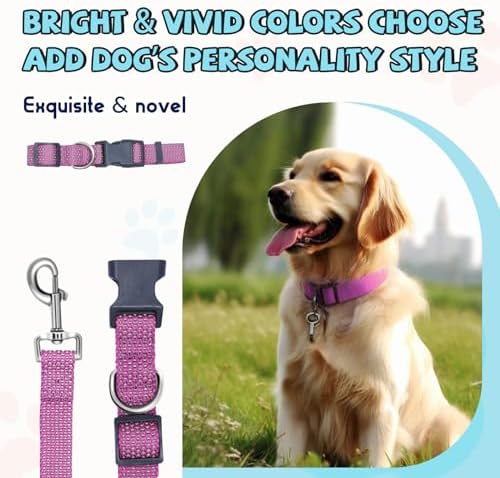 Reflective Dog Collar and Leash Set, Nylon Dog Leash with Heavy-Duty Steel D-Ring, Adjustable with Quick Release Buckle for Large Dogs, Purple L