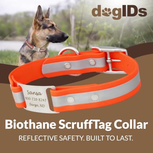dogIDs Personalized Reflective Waterproof ScruffTag Dog Collar - Custom, Soft Grip, Safe Adjustable, Odor Resistant - Orange, 1 in x 22 in (Fits Neck Sizes: 20-24 in)