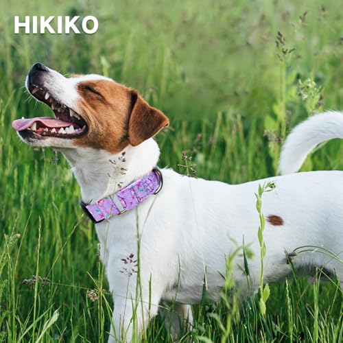 Hikiko Martingale Collar for Dogs with Special Pattern,Adjustable,S