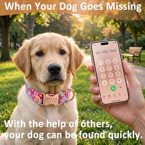 Personalized Dog Collar Custom Engraved Pet Name & Phone Number