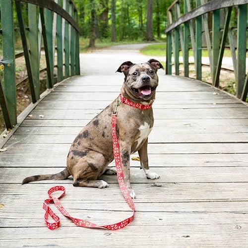 Country Brook Petz - Red Anchors Away Everyday Dog Leash Limited Edition - Summer Breeze Collection Featuring Sunny Designs (4 Foot, 5/8 Inch Wide)