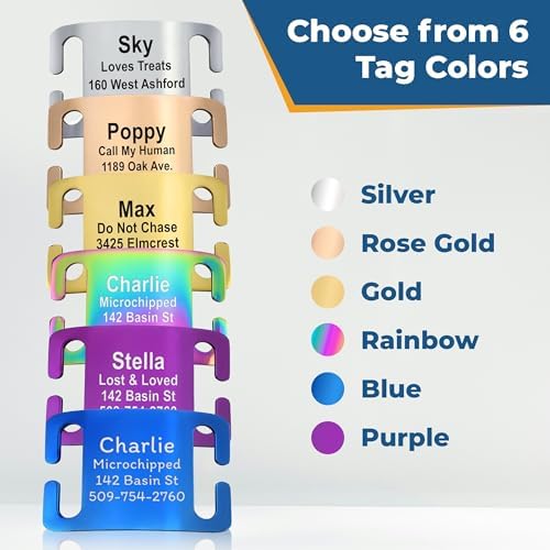 GoTags Reflective Dog Collar with Personalized Nameplate, Collar Tag Combo