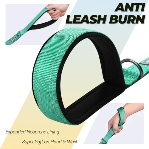 VIVAGLORY Double Handle Dog Leash Twingrip, 6ft x 1in, Turquoise