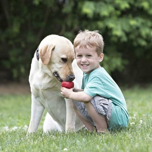 KONG Classic Stuffable Toy, Natural Rubber, Extra Large Dogs (Pack of 2)