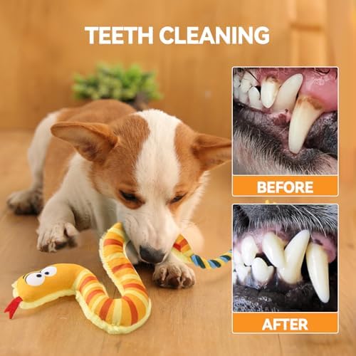 AUSCAT Plush Dog Rope Toy, Durable Squeaky Dog Toys for Puppy Small Medium Dogs (Not for Aggressive Chewers), Snake