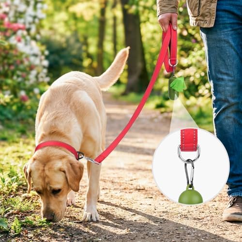 Joytale Reflective Dog Leash for Medium & Large Dogs, 5 FT x 1", Red