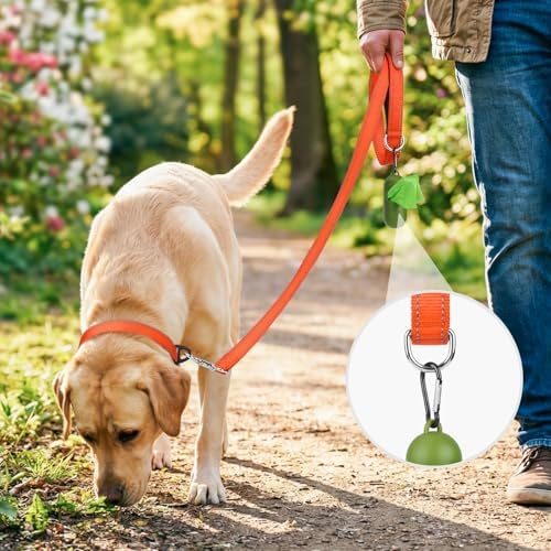 Joytale Reflective Dog Leash for Small Dogs, 5 FT x 3/4", Orange