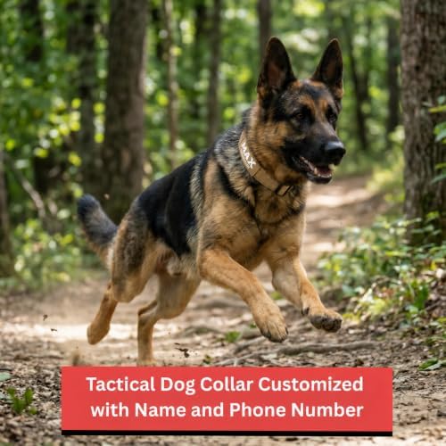 Premium Personalized Dog Collar - Heavy Duty Tactical Dog Collar with Name and Phone Number Dog Collars for Large Dogs, Medium Dogs, Strong and Thick Nylon Material for Male and Female Breed
