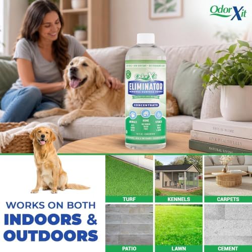 Concentrated Pet Urine Odor Eliminator, Ideal for Cat, Dog Poo and Urine Smell, Versatile & Natural Odor Neutralizer for Home and Outdoor Use, Deodorizer & Absorber, Concentrate, 16oz