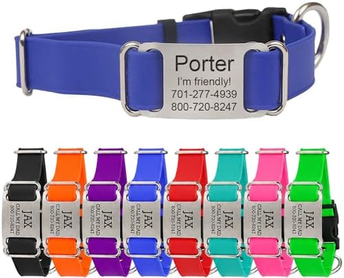 dogIDs Personalized Quick Release Waterprooft ScruffTag Dog Collar - Built-in Custom Laser Engraved Nameplate, Odor Resistant - Blue, 3/4 in x 11-14 in (Fits Neck Sizes: 11-14 in)