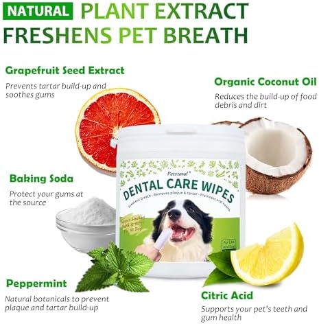 Petstoral Dental Care Wipes for Dogs and Cats, 50 Count