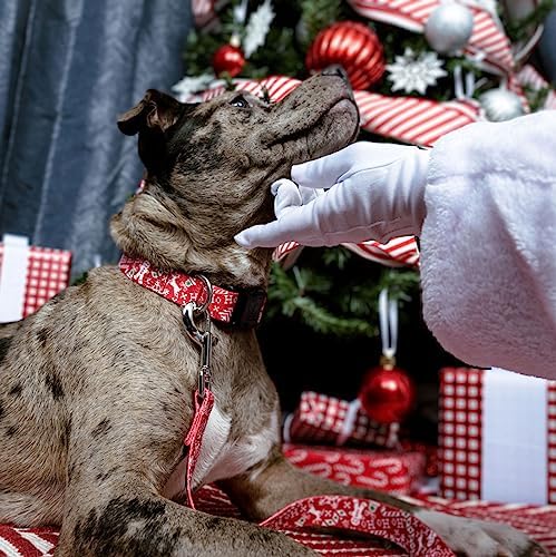 Country Brook Petz - Ho Ho Ho Everyday Dog Leash - Christmas Collection Featuring Festive Designs (4 Foot, 1 Inch Wide)