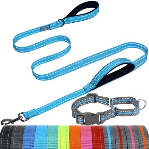 VIVAGLORY Double Handle Dog Leash Twingrip, 5ft x 1in, M2, Blue Grey