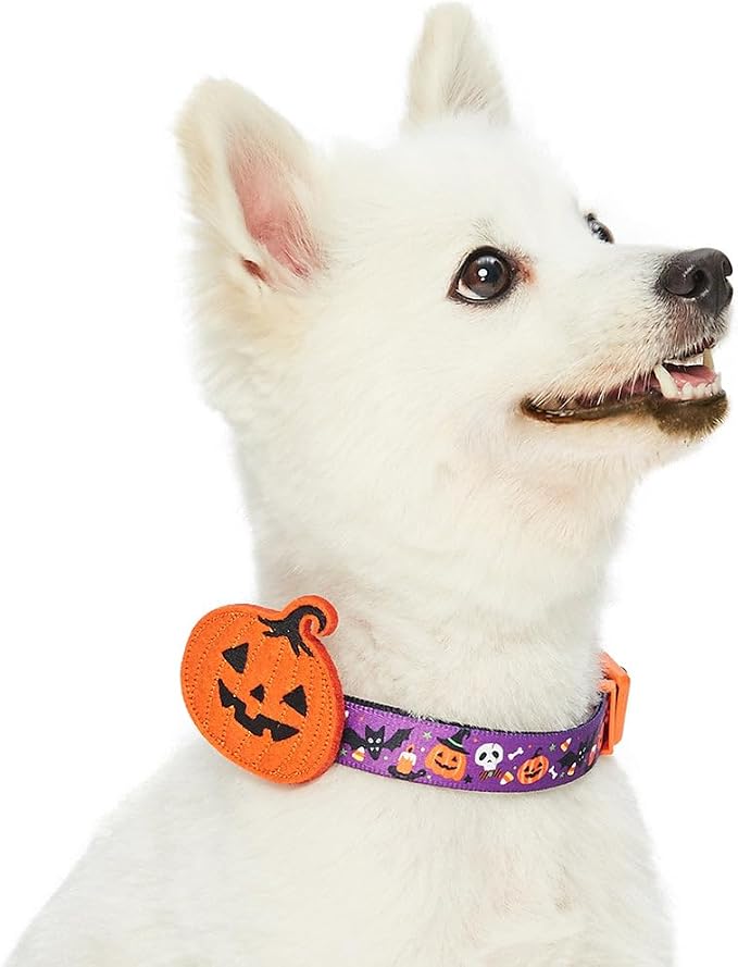 Blueberry Pet Halloween Pumpkin Party Designer Adjustable Dog Collar with Detachable Decoration, Large, Neck 18"-26"