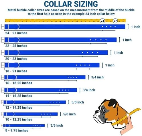 GoTags Dog Collar with Slide-on Dog Tag, Durable Nylon Dog Collar and Personalized Dog ID Tag Nameplate in Assorted Colors and Sizes