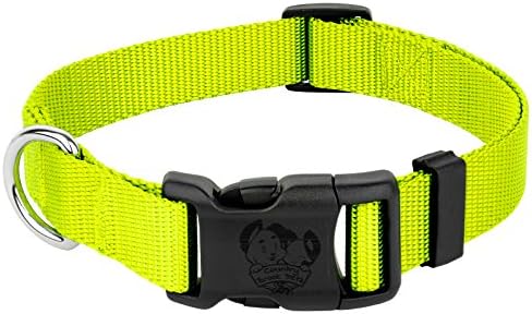 Country Brook Petz - Everyday Nylon Dog Collar for Large, Medium, and Small Dogs and Puppies - for Everyday Use in 30+ Colors (Medium, 3/4 Inch Wide, Hot Yellow)