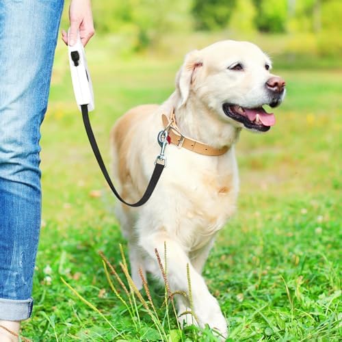Retractable Dog Leash, 16ft Dog Walking Leash for Small Dogs up to 77lbs, Non-Slip Handle - White