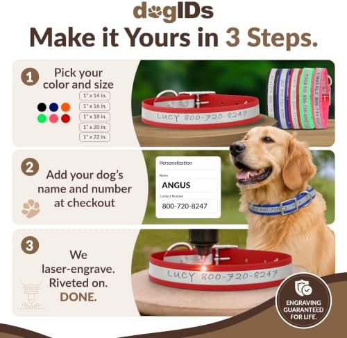 dogIDs Personalized Reflective Waterproof Dog Collar - Custom, Durable, Adjustable, Odor Resistant, Safe, Engraved - Red, 1 in x 20 in (Fits Neck Sizes: 18-22 in)