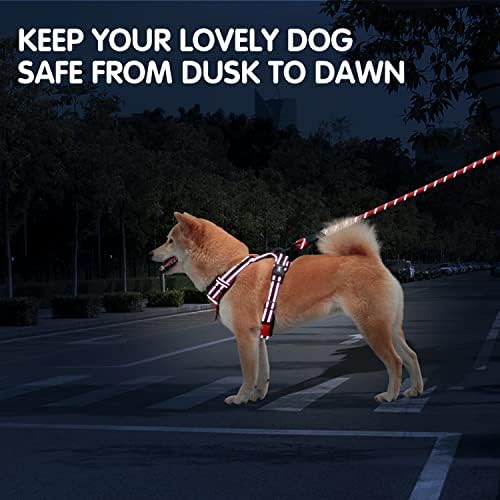 PoyPet Dog Harness and Leash Set, No Pull Vest with Front Clip and Handle