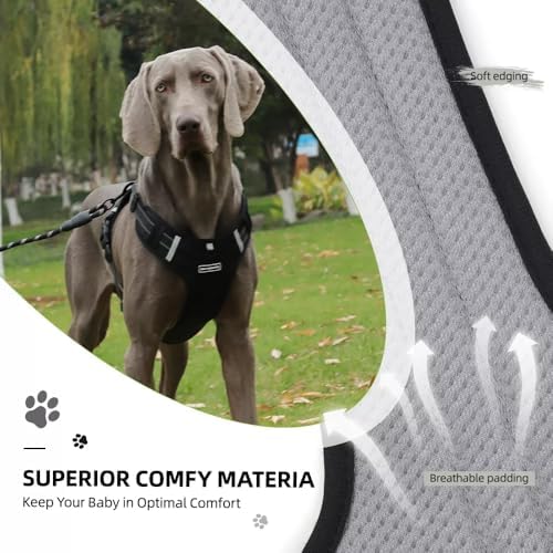 Dog Harness No Pull Adjustable Reflective,for Medium and Large Small Dog with Leash 59.06in (Black, XL)