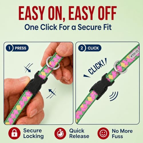 THE WORTHY DOG Summer Print, Adjustable Dog Collar, Small Dogs, Argyle