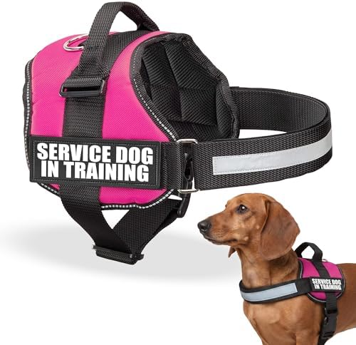 Industrial Puppy Service Dog in Training Vest Harness, XS 16.5-21.5 in Pink