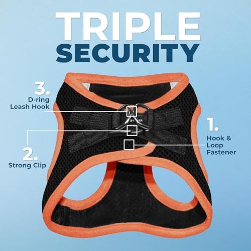 Voyager Step-in Air Dog Vest Harness - Black/Orange Trim, Large