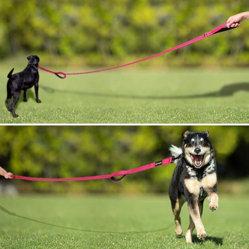 Plutus Pet Double Handle Dog Leash, 6 FT Long, for Medium Large Dogs