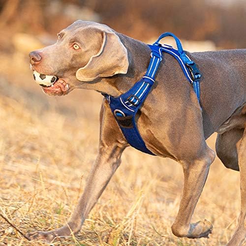 WINHYEPET True Love No Pull Dog Harness Extra Reflective Pet Harness for Small Medium Large Dogs Adjustbale for Running Walking Padded Soft Mesh Vest Easy Control TLH56512(Brown,M)
