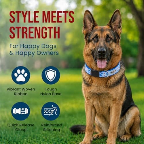 THE WORTHY DOG Summer Print, Adjustable Dog Collar, Large Dogs, Sharkuterie