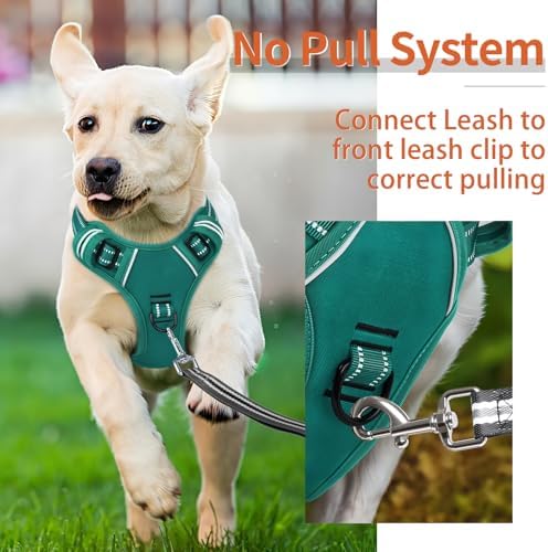 HEELE Dog Harness for Large Dogs No Pull Dog Vest Harness for Large Dog with Soft Padded Handle Reflective for Outdoor Training, Grass Green, XL