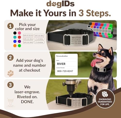 dogIDs Personalized Quick Release Waterprooft ScruffTag Dog Collar - Built-in Custom Laser Engraved Nameplate, Odor Resistant - Black, 3/4 in x 11-14 in (Fits Neck Sizes: 11-14 in)