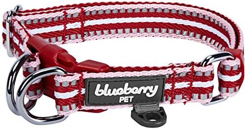 Blueberry Pet Safety Dog Collar with Dual D-Rings | 3M Reflective Multi-Colored Adjustable Collar in Marsala Red and Pink | Soft Nylon Dog Collar for Active Small Dogs