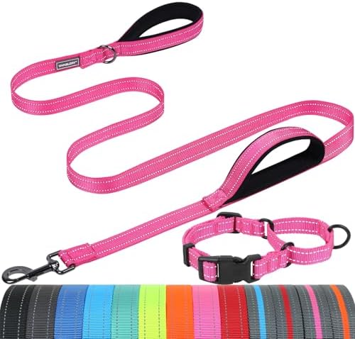 VIVAGLORY Double Handle Dog Leash Twingrip, 5ft x 1in, M2, Pink