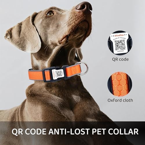 Personalized Dog Collar with QR Code Dog Tag, Oxford Orange L