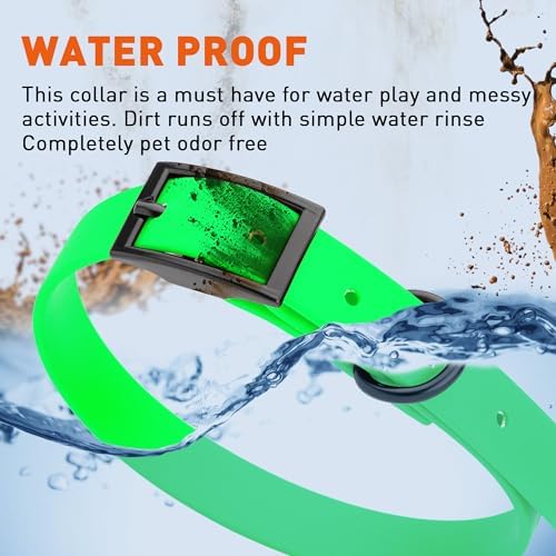 Dogline Biothane Waterproof Dog Collar Strong Coated Nylon Webbing with Black Hardware Odor- Proof for Easy Care Easy to Clean High Performance Fits Small Medium or Large Dogs, Tropical Green