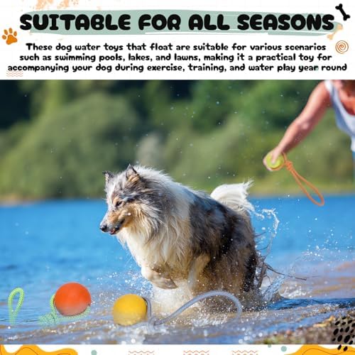 Skylety 4 Pack Floating Dog Toy with Rope Handle