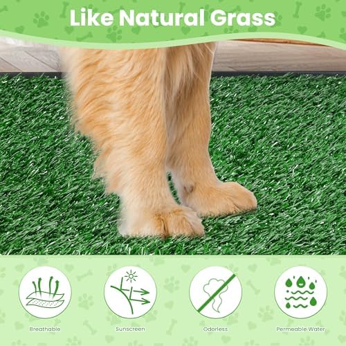 Dog Grass Pad with Tray, Dog Grass Potty Patch Bathroom Mat, 20x25inch, 2 Reusable Artificial Turf, Washable Pee Pad for Puppy Training, Dog Litter Box, Portable Perfect Indoor Outdoor Use