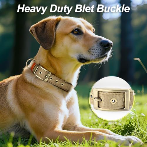 Personalized Dog Collars with Name and Phone Number, Durable Metal Buckle, Soft Neoprene Padded Reflective Nylon Collar for Large Medium and Small Dogs (Premium Version)