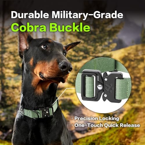 PawsPassion Dog Collars for X-Large Dogs, Heavy Duty Tactical Dog Collar with Metal Buckle, Durable Pet Collar Quick Release, Reinforced Nylon No Pull Dog Collar (Evergreen, XL)