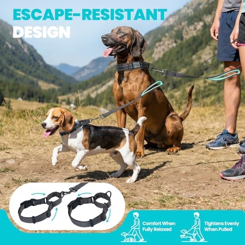 VIVAGLORY Double Handle Dog Leash Twingrip, 5ft x 1in, M, Grey