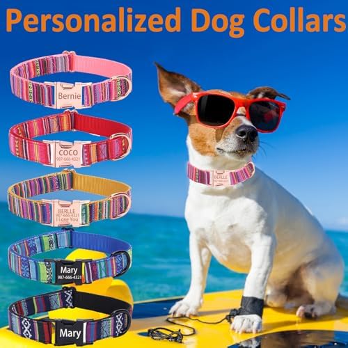 Personalized Bohemian Dog Collar