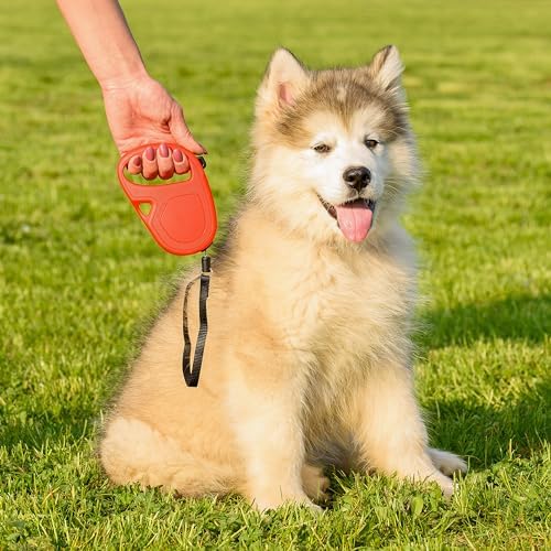 Extendable Leash for Medium Dogs Flippy ONE Cord S, Retractable Cord 4,5 m, max 12 kg, Red