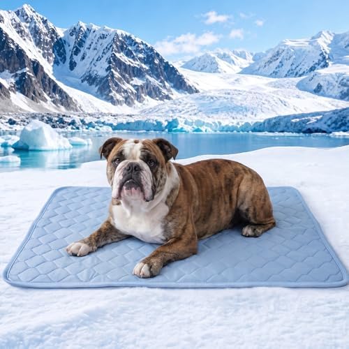 PatiencET Dog Cooling Mat, 28 x 40 in No-Gel Cooling Pad for Medium Dogs, Cool Touch Nylon Pet Mat, Washable Summer Dog Mat for Crate, Bed, Floor, Sofa, Car, Blue
