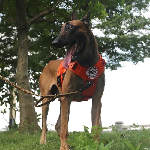 ICEFANG GN3 Tactical Dog Harness with 6X Buckle,Dog Molle Vest with Handle,3/4 Body Coverage,Hook and Loop Panel for ID Patch,No Pulling Front Clip (L (28"-35" Chest), Orange)