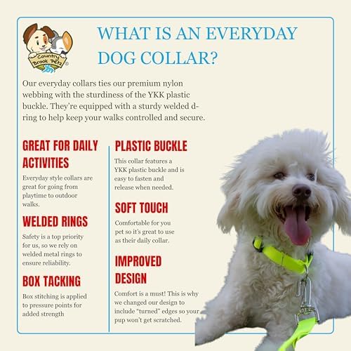 Country Brook Petz - Everyday Nylon Dog Collar for Large, Medium, and Small Dogs and Puppies - for Everyday Use in 30+ Colors (3XS, 3/8 Inch Wide, Hot Yellow)