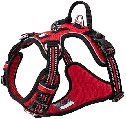 WINHYEPET True Love No Pull Dog Harness Extra Reflective Pet Harness for Small Medium Large Dogs Adjustbale for Running Walking Padded Soft Mesh Vest Easy Control TLH56512(Red,XL)