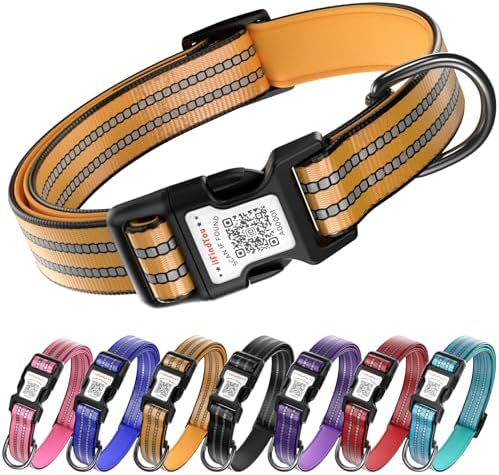 Personalized Dog Collar with QR Code Dog Tag, Orange M