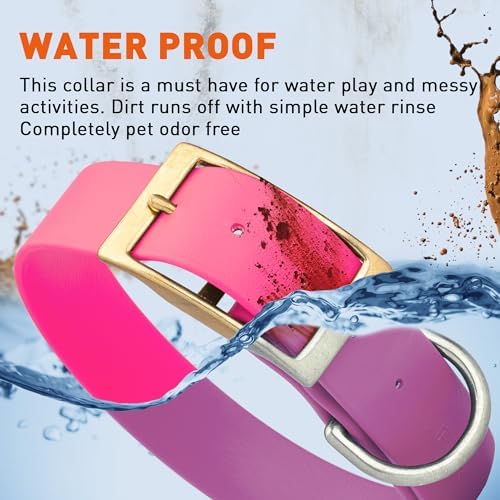 Viper Biothane Heavy Duty Waterproof Dog Collar Strong Coated Nylon Webbing w/Solid Brass Hardware Odor-Proof Easy to Clean High Performance Fits Small Medium or Large Dogs, Passionfruit Pink