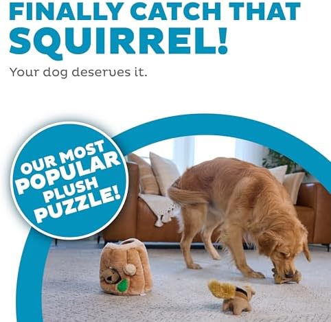 Outward Hound Hide-A-Squirrel Dog Toy – Interactive 2‑in‑1 Plush Puzzle with 3 Squeaky Removable Squirrels, Large (Pack of 12)
